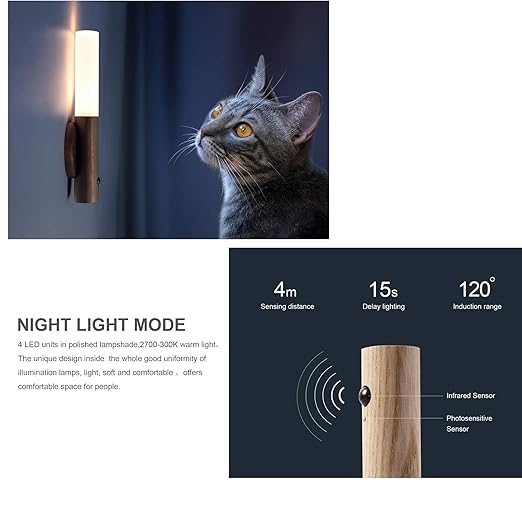 Brown Glass & Wood Motion Sensor LED Night Light