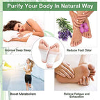 Detox Foot Patches for Overnight Foot-Care, Pack of 10