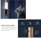 Brown Glass & Wood Motion Sensor LED Night Light