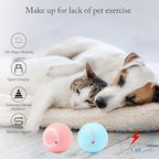 360-Degree Interactive Rolling Ball Toy for Cats