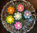 Flameless Lotus Flower Water-Sensor LED Diyas, Pack of 6