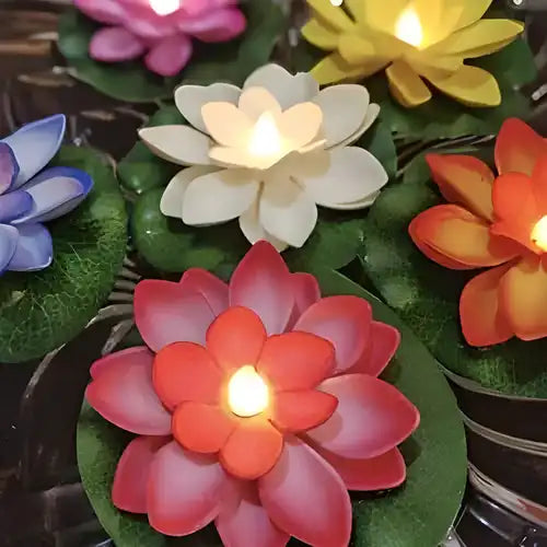 Flameless Lotus Flower Water-Sensor LED Diyas, Pack of 6